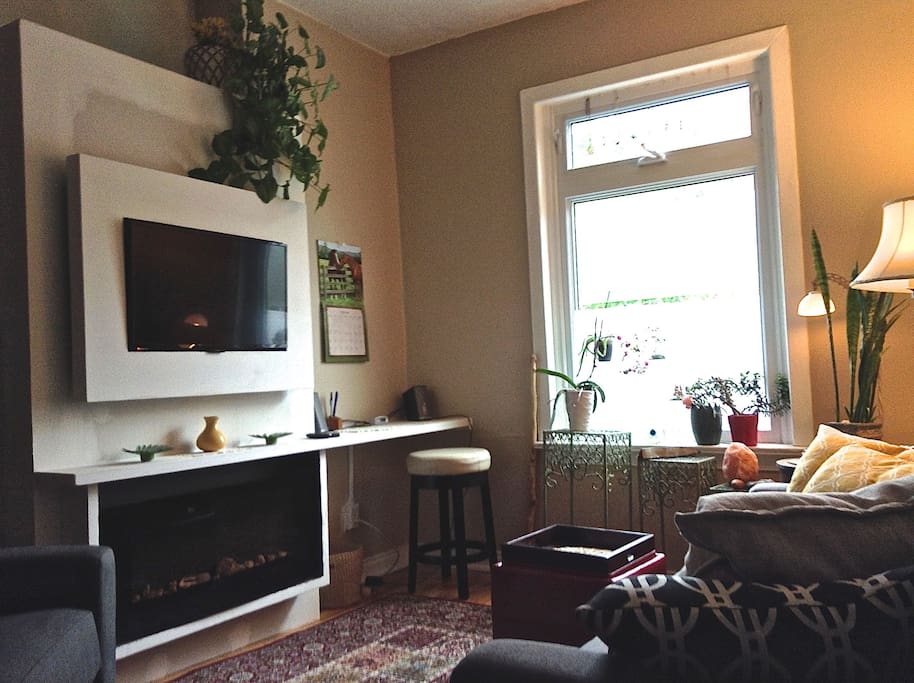 Fireplace and TV
