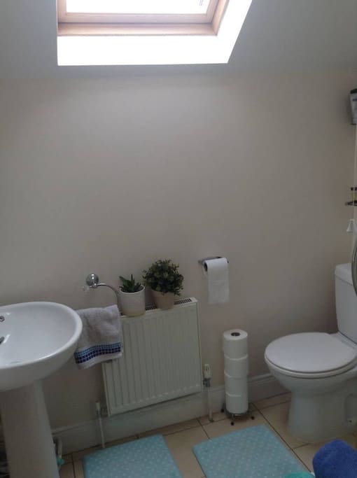 Upstairs toilet/shower