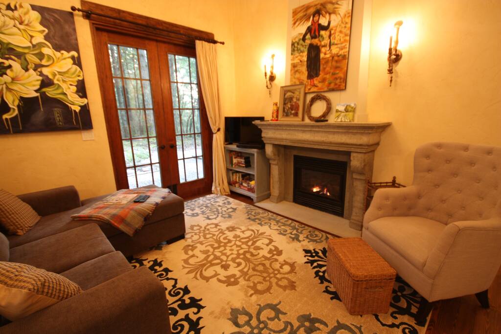 Gas fireplace, TV with video library