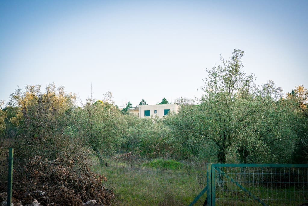 The sun house from the north entrance of the property.