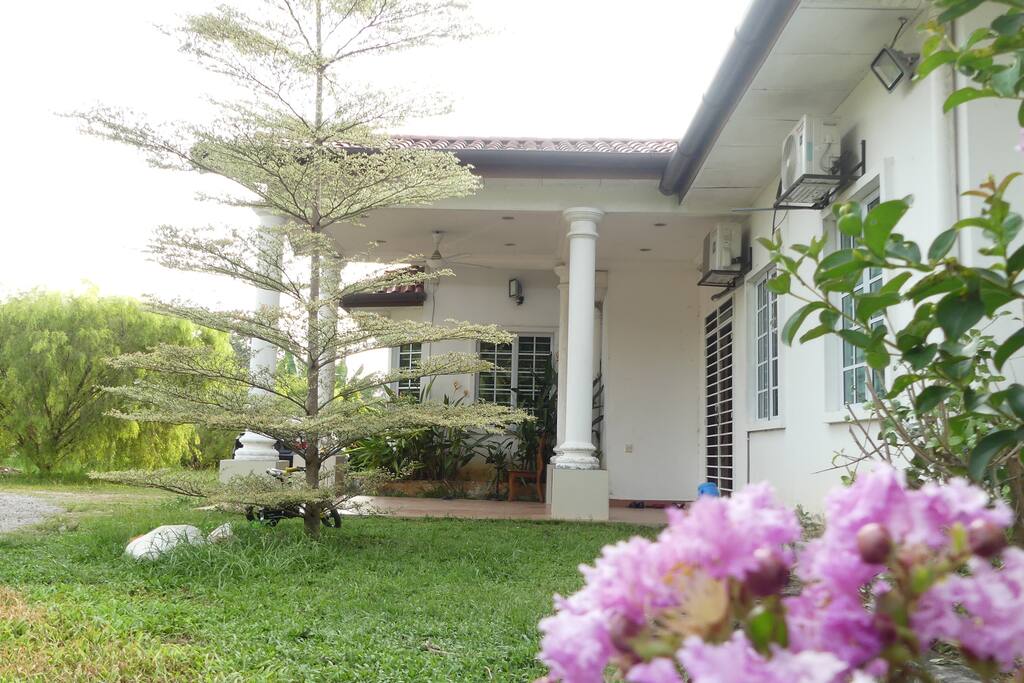 A 5000 sq feet single storey bungalow