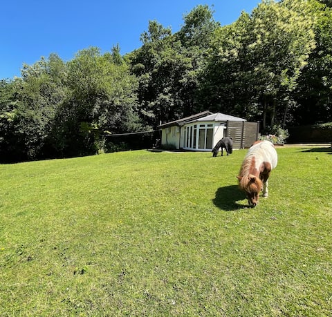 Successful Airbnb property: Cosy cottage in picturesque park like setting in Gravesham