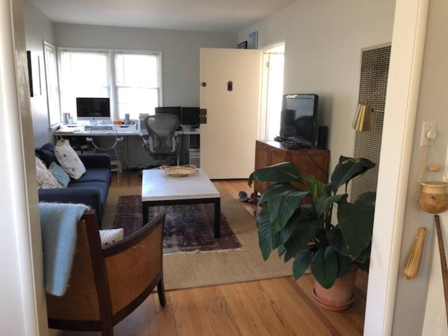 Main living spaces