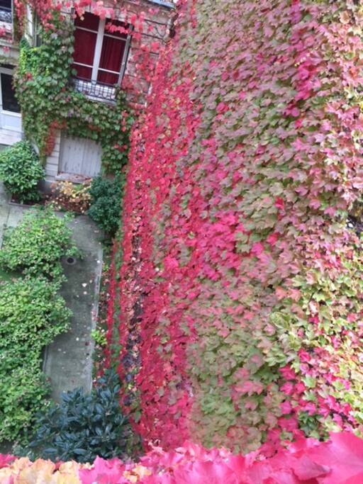 Cour intérieur vue du balcon en automne.