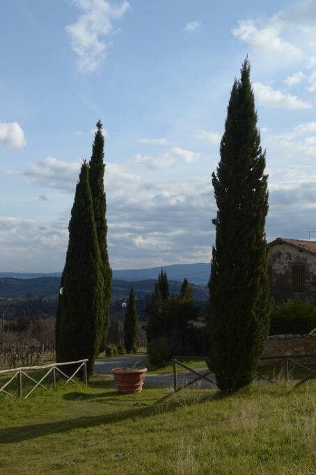 Panorama
