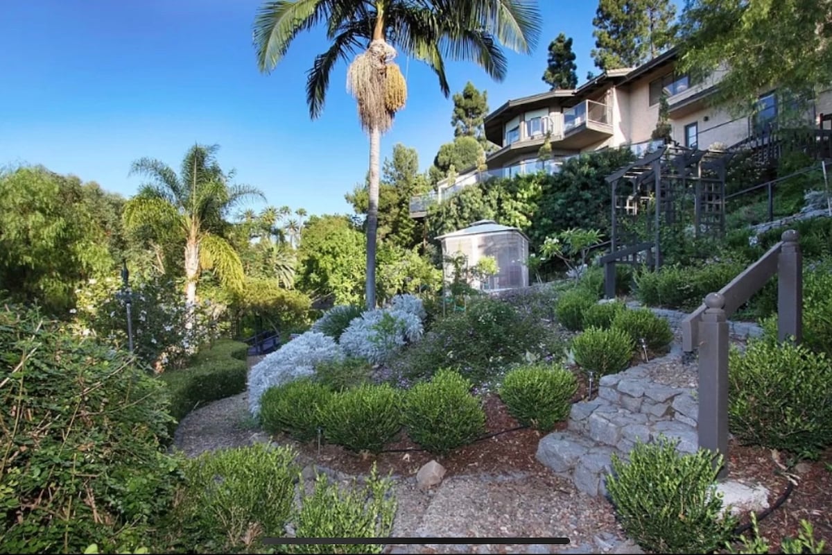 A lush garden pathway meanders through vibrant greenery, featuring a tall palm tree and a variety of flowering plants. Steps lead up to a terrace where the house appears nestled among the trees, surrounded by a serene environment.