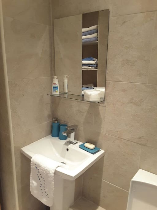 Guest bathroom