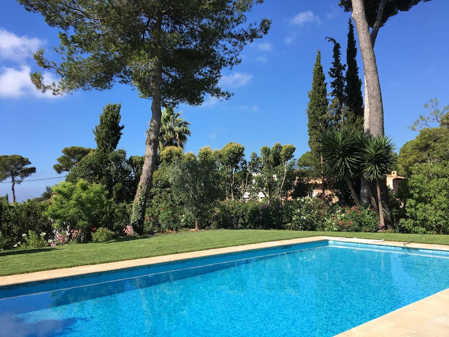 Piscine 10 x 5