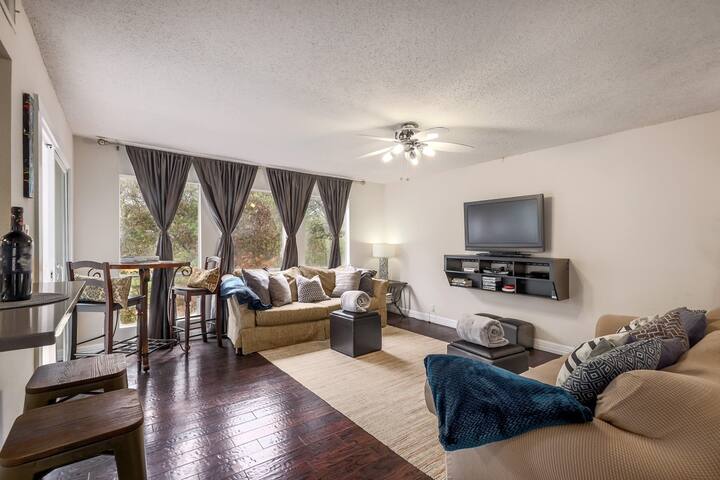 The Big Zilker. Minutes to it all! gallery image 2