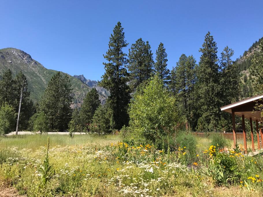 View from side yard