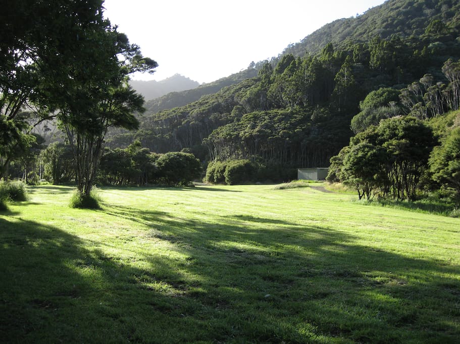 The park around the house