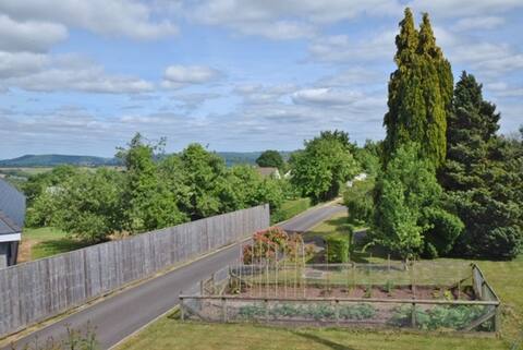 Treetop view towards the Wye Valley