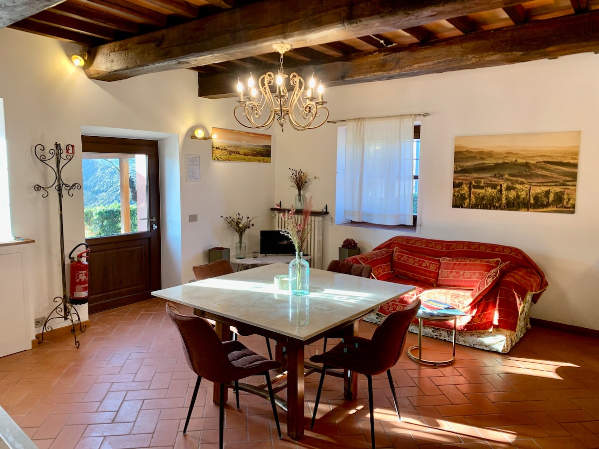 Top performing Airbnb: Apartment with pool on Chianti hills in Greve In Chianti