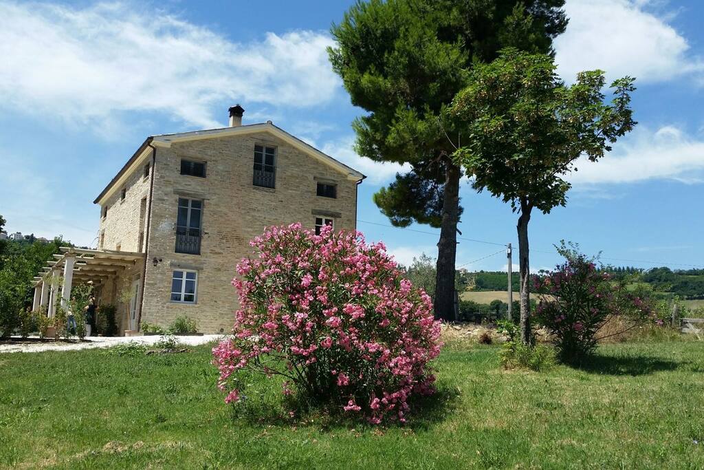 Our home in the le Marche countryside