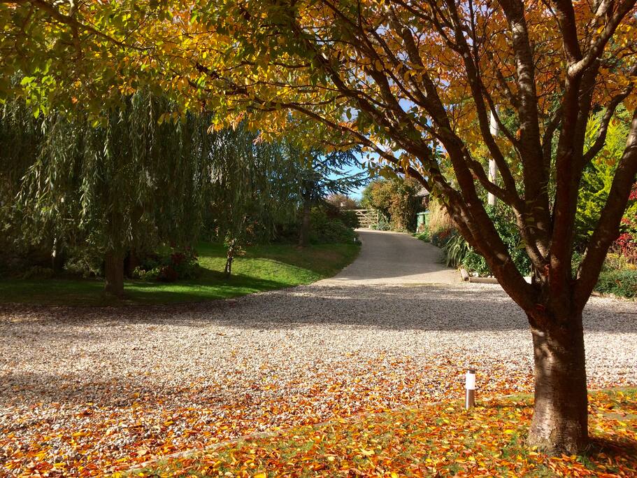 Driveway to Chanctonbury Cottage