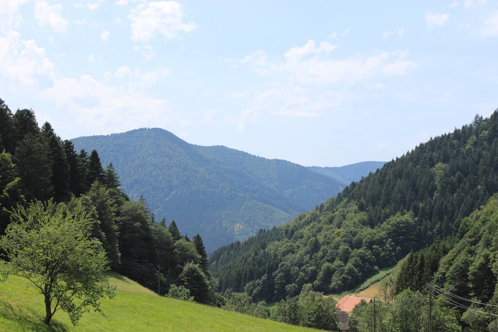 Blick ins Tal
