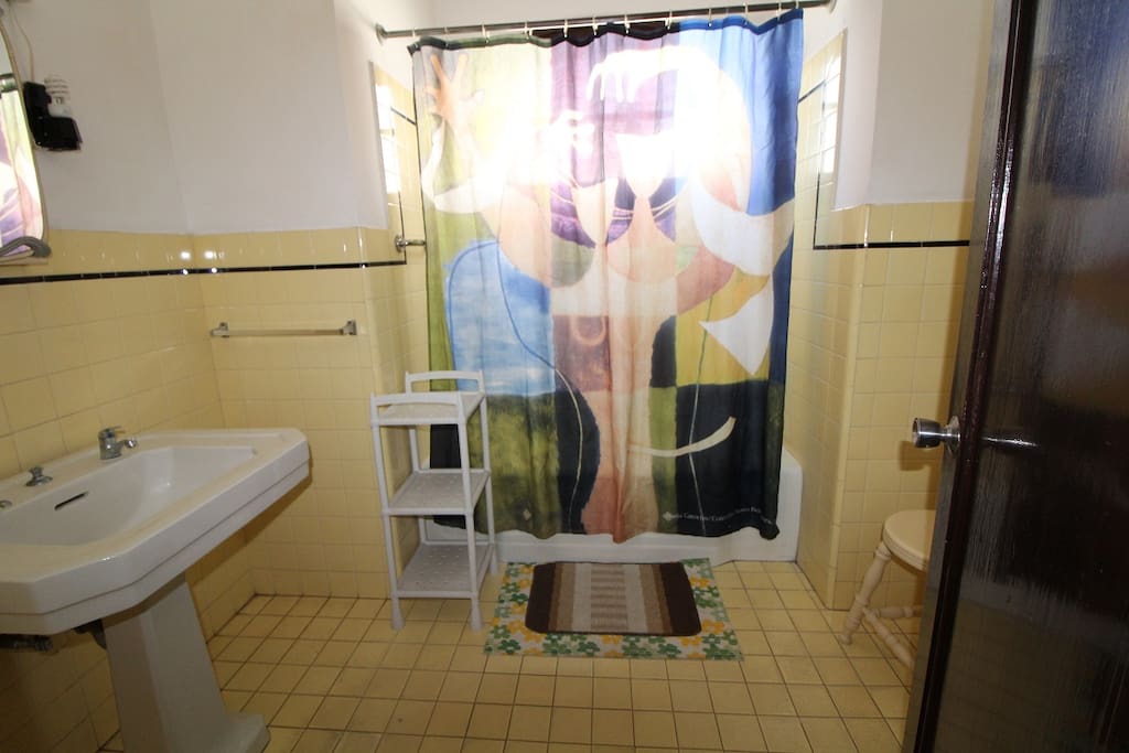 BAÑO HABITACION 1