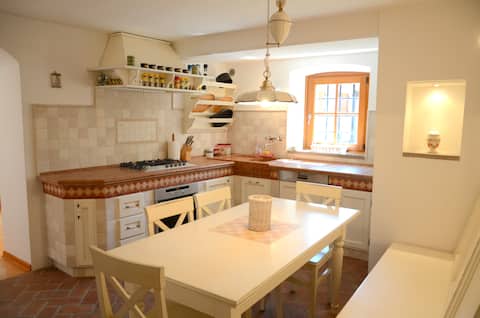 Luxury and charming Karst House in idyllic village