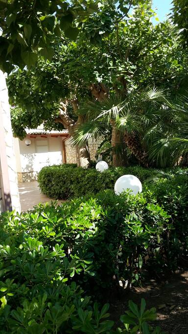 Giardino visto dalla porta d ingresso