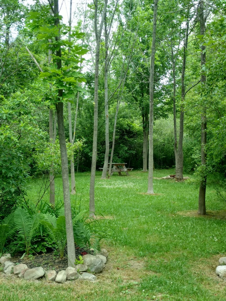 תמונה מס' 1 של הנכס Cherry Hill Campground II