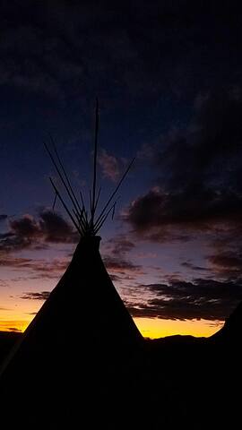 Candelilla tipi