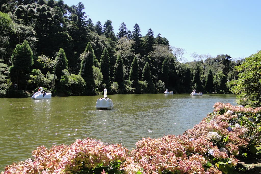 Lago Negro (400m do apê)