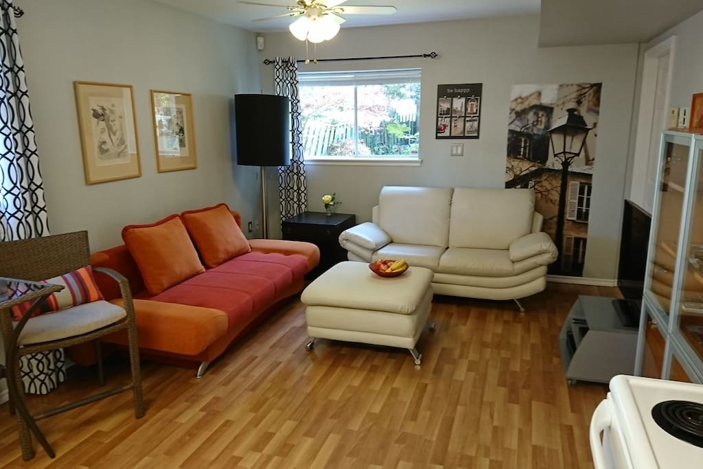 Living room with pull out sofa bed for 2