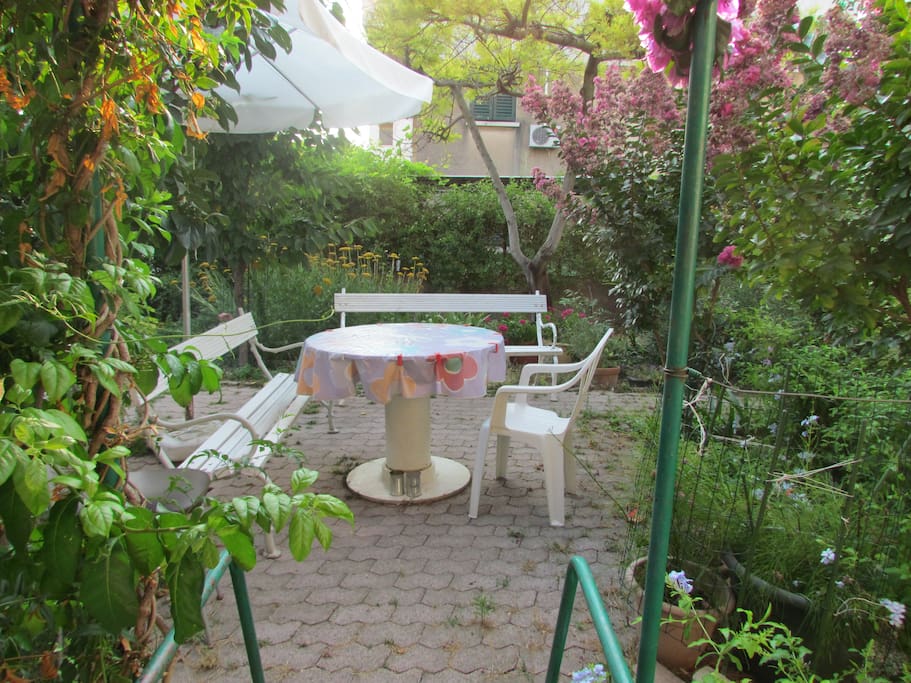 Garden