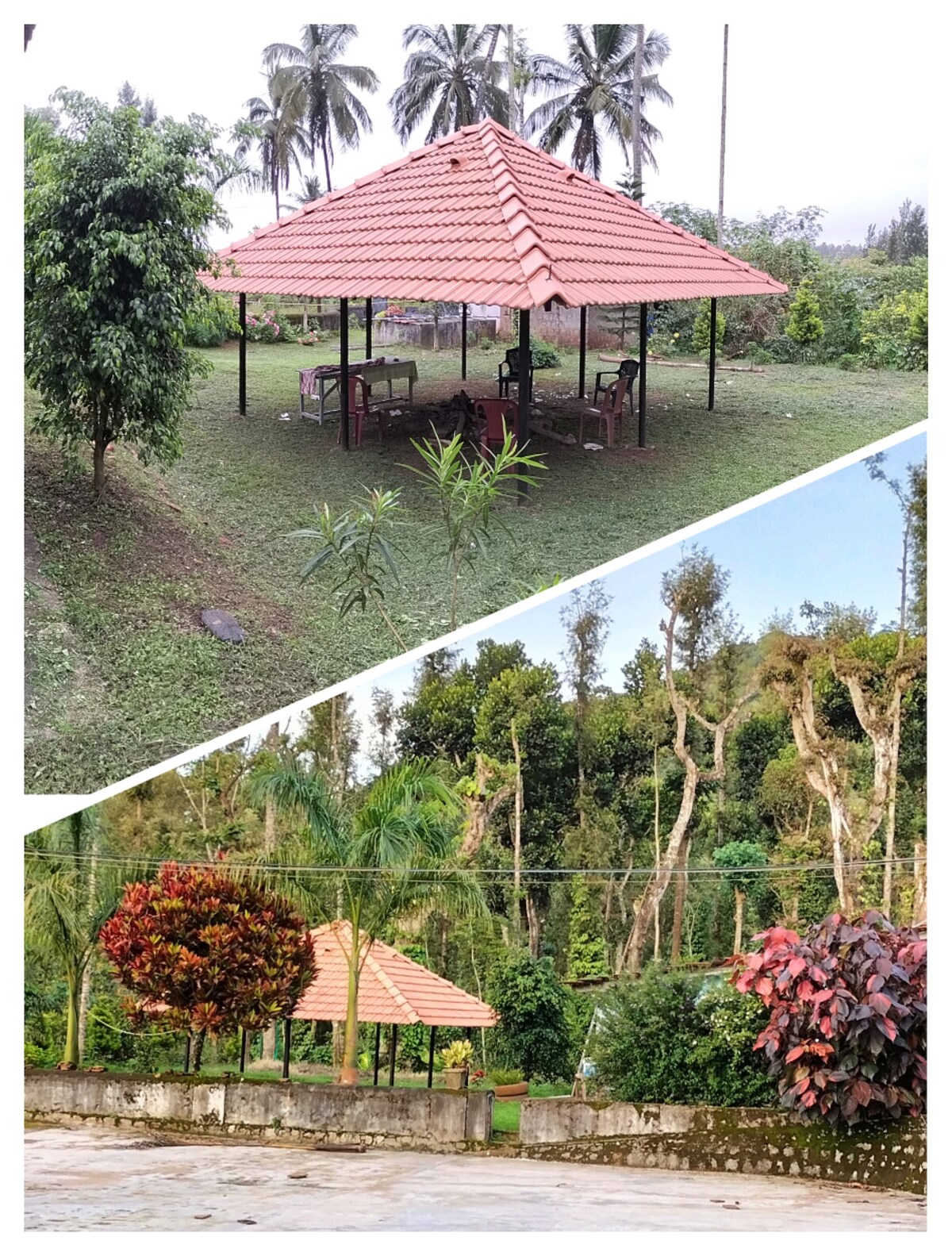 A covered outdoor seating area with a red tiled roof is surrounded by lush green grass and tropical trees. Bright foliage adds color to the scene, while a stone wall encloses the area providing a sense of privacy.