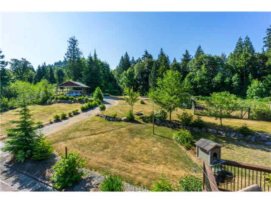 View of the garden from the Suite.