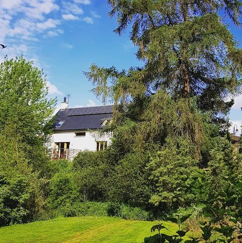 Exceptional! The Byre, overlooking the Cairngorms.