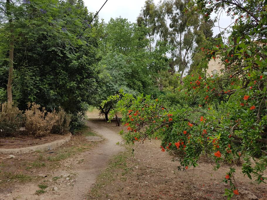Welcome to heaven in the heart of Jerusalem. The house is located in this park-like yard