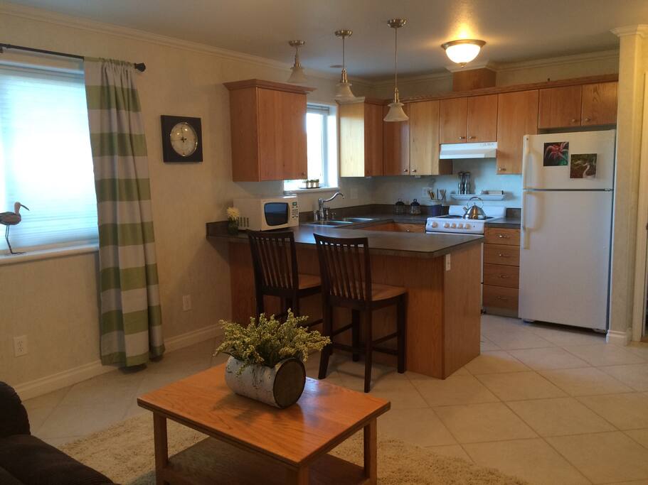 Fully equipped kitchen with stove, fridge, dishwasher and microwave.