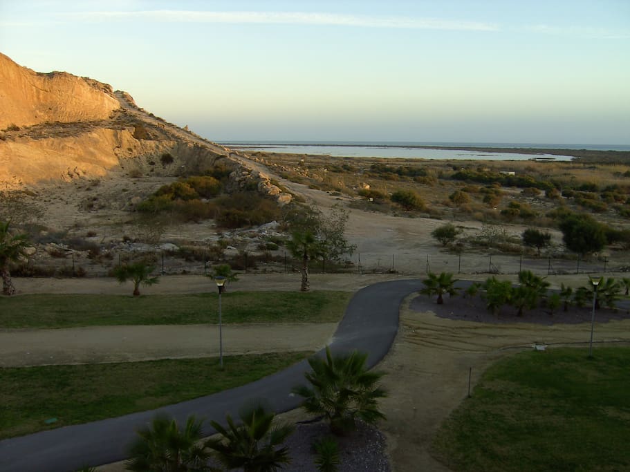 That view ........flamingos at four o'clock!