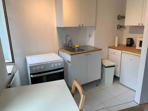 Top Airbnb: One-room apartment on Theresienwiese in St. Paul