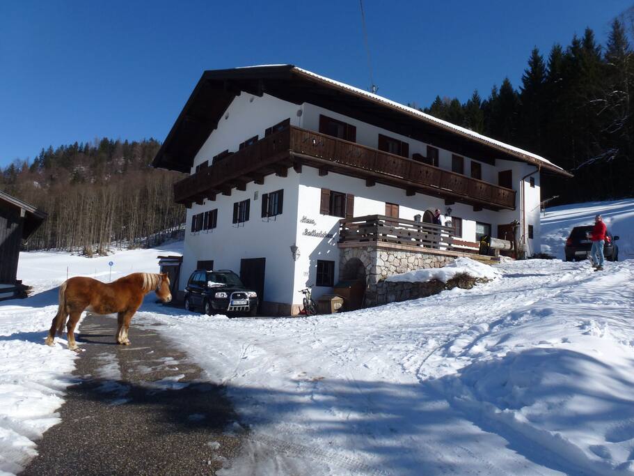 Das Bartlerlehen im Winter mit seinen freilaufenden Tieren.