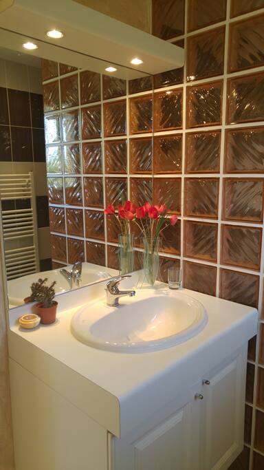 Salle de bains et WC indépendants