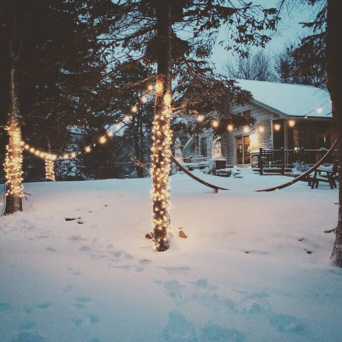 Winter Wonderland