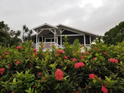 Tropical Paradise 2-Bedroom Home Near the Ocean