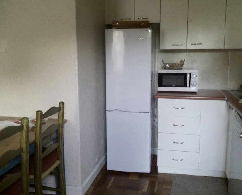 Fridge/Freezer & Microwave