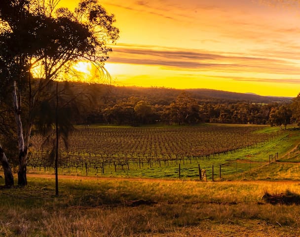 Idyllic Farmhouse overlooking 10 acre Vineyard