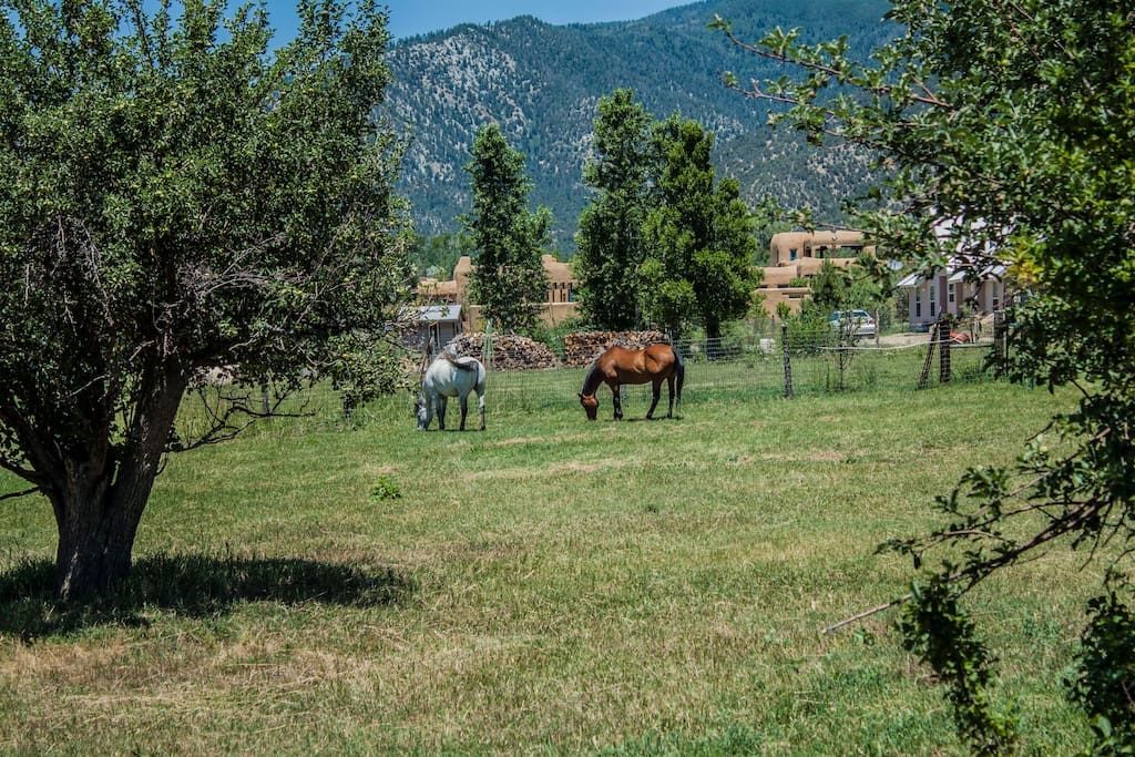 Field Behind Casa Martinez