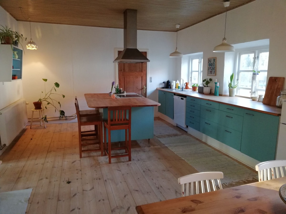 The spacious kitchen features a large island with bar stools, surrounded by blue cabinets and wooden countertops. Natural light filters through the windows, illuminating the polished wooden floor. Plants are placed throughout the room, adding a touch of greenery to the inviting space.