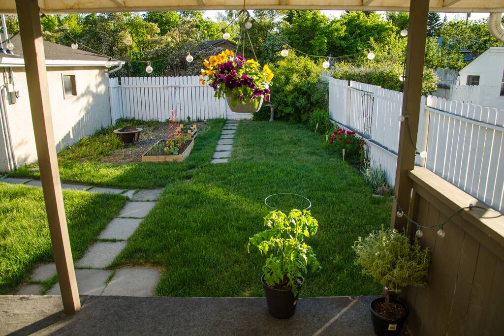 backyard