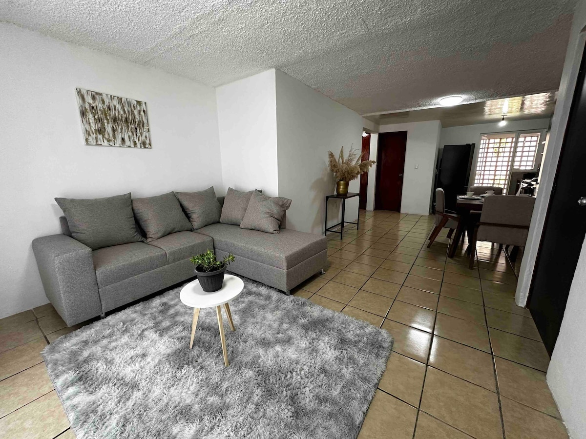 A cozy living area features a gray sectional sofa, positioned around a small round table placed on a soft, textured rug. A decorative plant adds a touch of greenery. The open layout leads toward a dining area and adjacent rooms, creating a spacious environment.