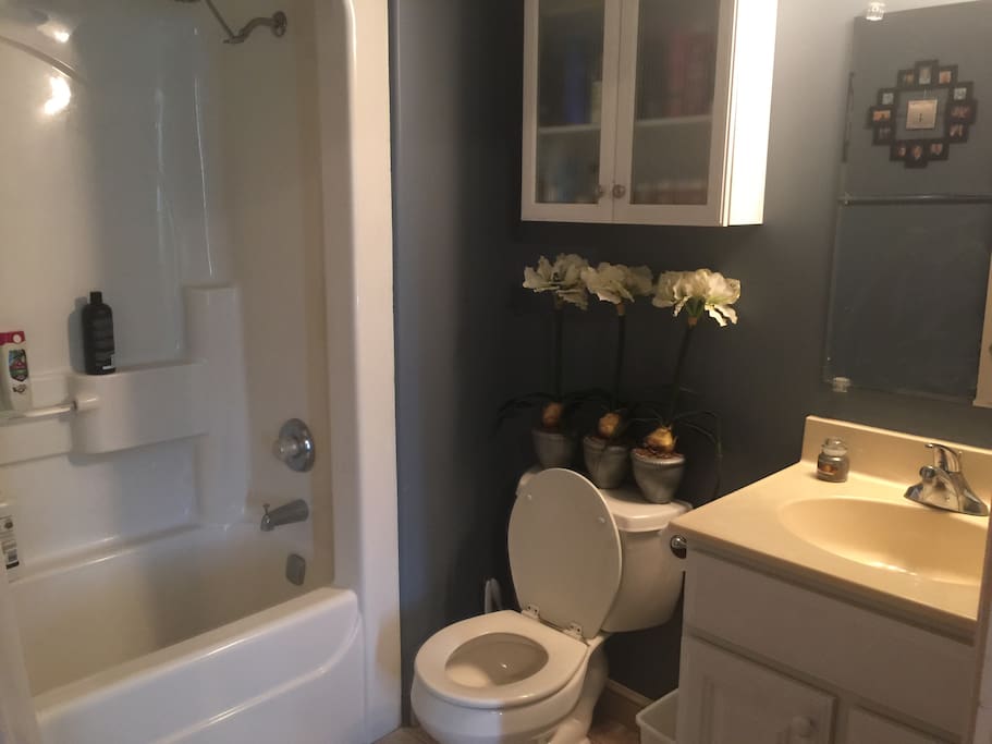 Full Bathroom extends from room for private use