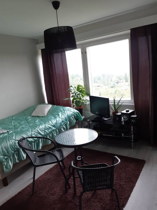 the living room/bedroom.
