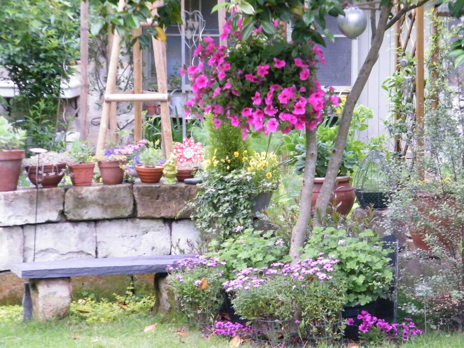Le jardin fleuri