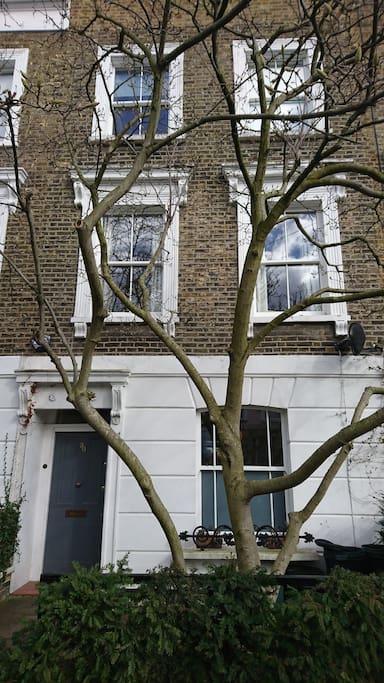 Front of house