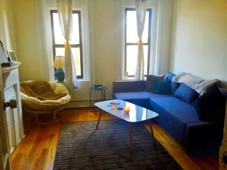 living room/guest room with pull out queen bed